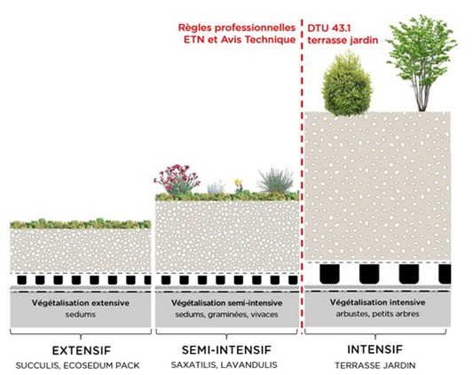Toitures végétalisées à Arras, Lens, Douai, Cambrai - Lille